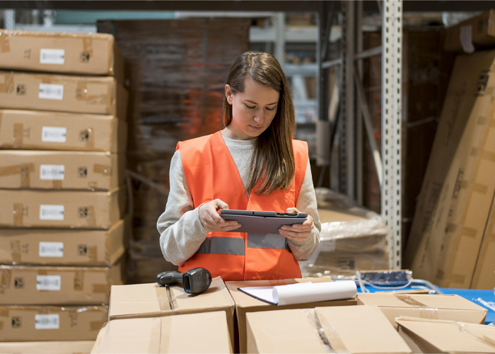 Read more about the article Step-by-Step Guide to Implementing an Inventory Management System in Your Business