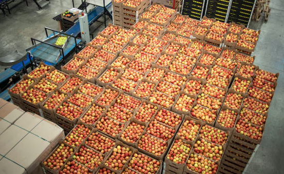 Warehousing for Food in Dayton, MN
